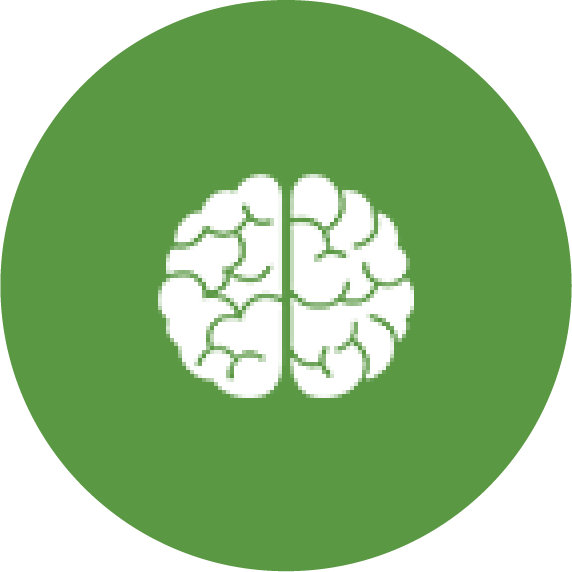 Brain Development Program at One Learn