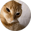 Kiri Kapua Avatar